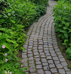 A different path