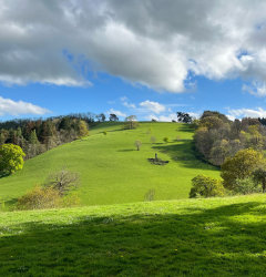 Sharpham house Grounds